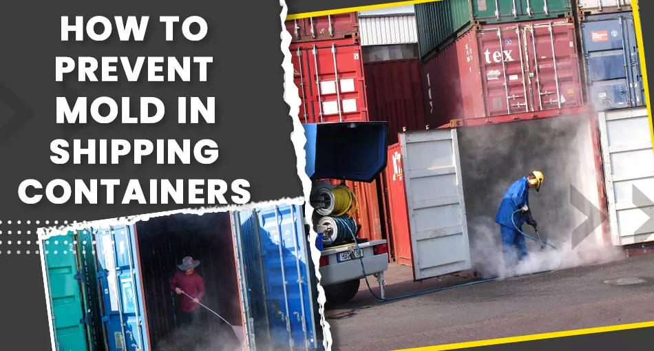 How-to-Prevent-Mold-in-Shipping-Containers How to Prevent Mold in Shipping Containers